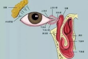 合肥爱尔眼科：87岁老人罹患泪囊炎，20分钟治愈？